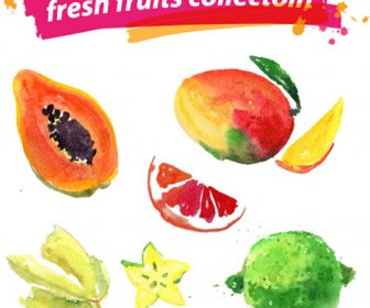 Watercolor Fresh Fruits Set Vector