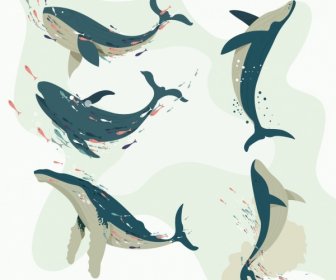 Ikony Wielorybów Pływanie Gest Projekt