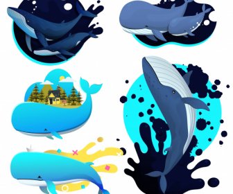 Balene Icone Movimento Schizzo Colorato Disegno