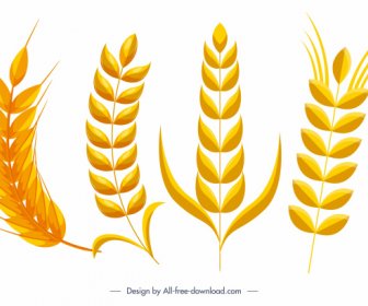 wheat flower icons bright flat yellow sketch