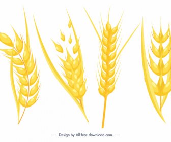 wheat flower icons bright golden dynamic design