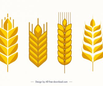 Wheat Icons Golden Flat Classic Symmetric Shapes