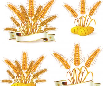 Wheat With Bread Vector 4
