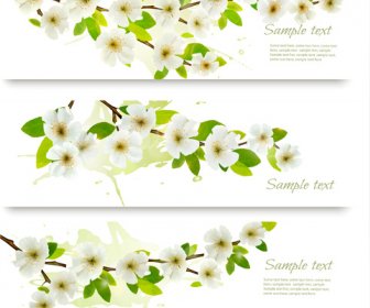 白い花春バナー ベクトル