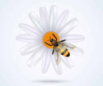 Bunga Putih Dengan Lebah Vektor