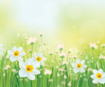 White Flowers Spring Beautiful Background Vector