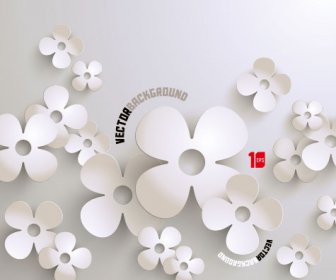 White Flowers Vector Graphics