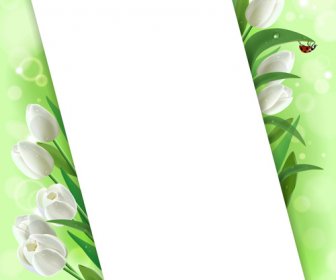 Weiße Tulpen Vektorgrafiken Hintergrund