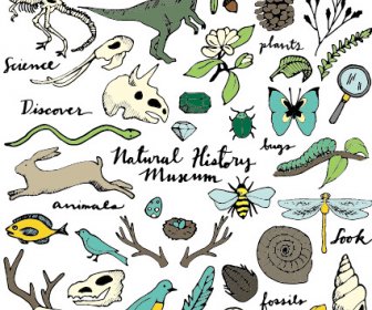 野生動物と自然のベクトル図