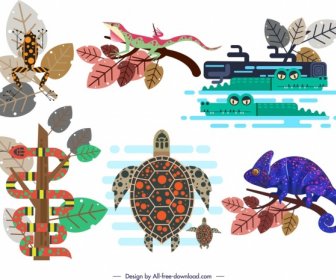 ícones Animais Selvagens Design Clássico Colorido