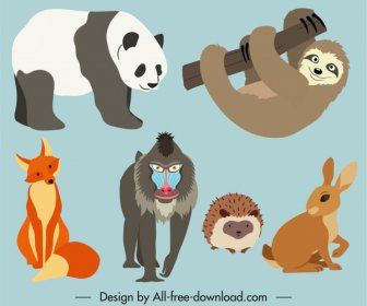 Wild Animals Icons Colored Cartoon Sketch