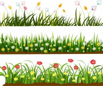 Wild Grass Flowers Templates Colorful Cartoon Design