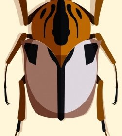 野生の昆虫アイコンクローズアップ3Dデザイン