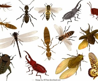 Insectos Salvajes Iconos Coloridodiseño Diseño 3d
