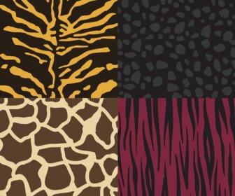 Wild Leather Pattern Collection Various Colored Flat Design
