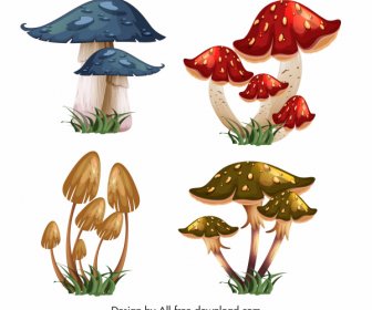 Wild Mushrooms Icons Colorful 3d Sketch