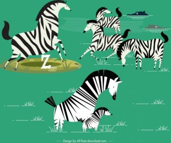 Kawanan Zebra Liar Lukisan Berwarna Desain Klasik