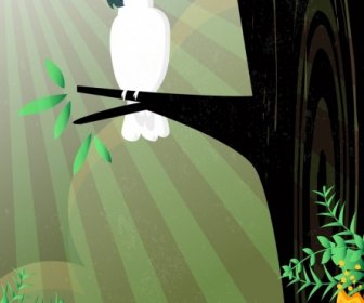 野生动物背景白色鹦鹉图标太阳光线装饰