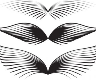 wing graphics vector