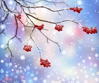 枝と赤いフルーツの冬の風景