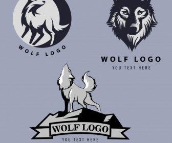 Wolf Logo Vorlagen Klassische Dunkle Silhouetten Handgezeichnete Skizze