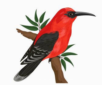 Woodpecker Burung Ikon Berwarna-warni Bertengger Sketsa