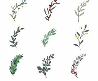 Wreath Design Elements Floral Leaf Sketch