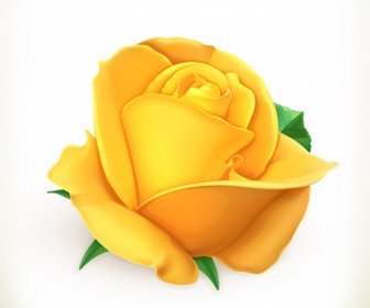 黄色いバラのベクター画像