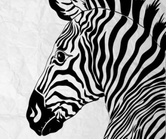 Зебра рисует черно-белый нарисованный от руки эскиз