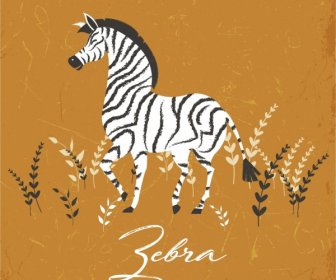 Zebra Drawing Classical Colored Design