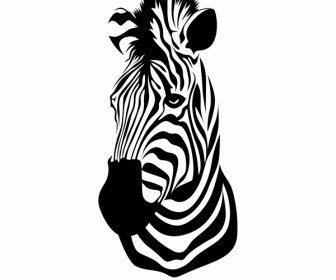 Zebra Head Icon Black White Closeup Handdrawn Sketch