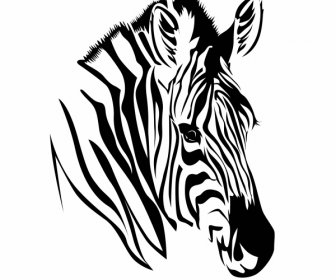Zebra Head Icon Black White Handdrawn Sketch