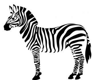 Zebra Icon Flat Back White Handdrawn Sketch