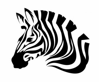 Zebra Icon Head Sketch Black White Handdrawn