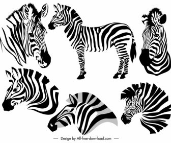 иконки зебр черно-белый эскиз