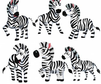 zebra species icons cute cartoon sketch