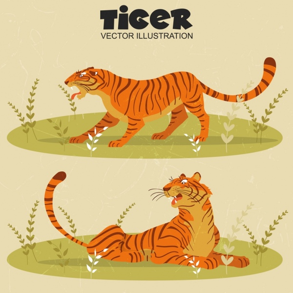 Tiger Drawing Colored Classical Design-vector Abstract-free Vector Free  Download