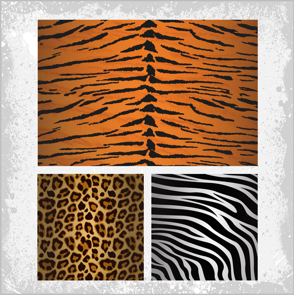Тигр Зебра леопардов кожи шаблон