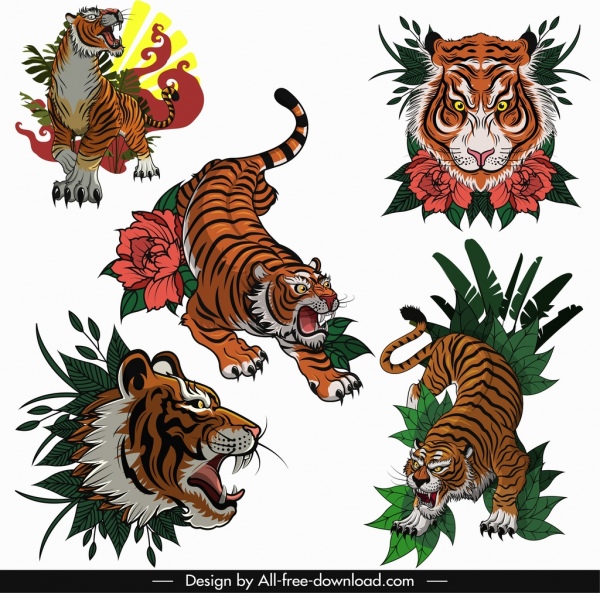 Iconos de tigres boceto clásico coloreado