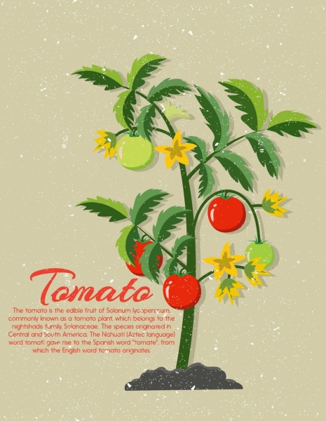 토마토 트리 아이콘 복고풍 장식 광고