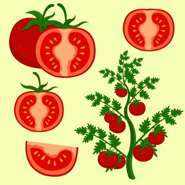 elemen desain tomat dekorasi hijau merah