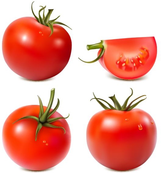 glänzende Tomatenrot Symbole entwerfen realistische Dekor
