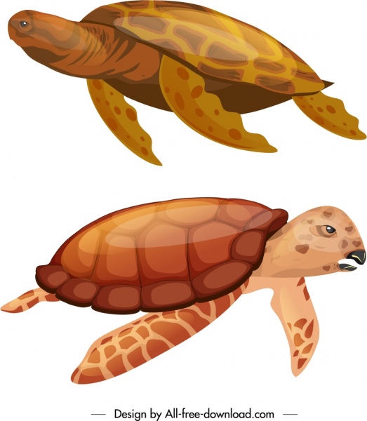 ícones de espécies de tartarugas brilhantes esboço vermelho gesto de natação
