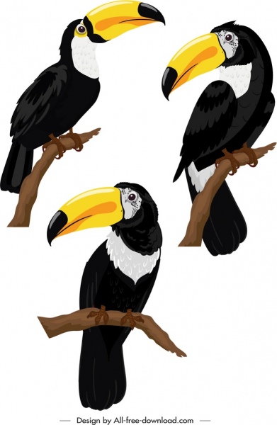 Ícones de pássaros tucanos coloridos Esboço de empoleiramento