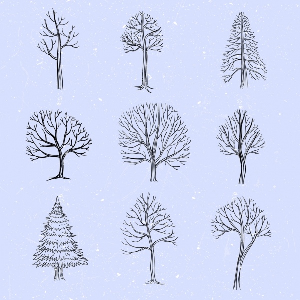 مجموعة ايقونات شجرة بلا أوراق ديكور رسم مرسومة باليد