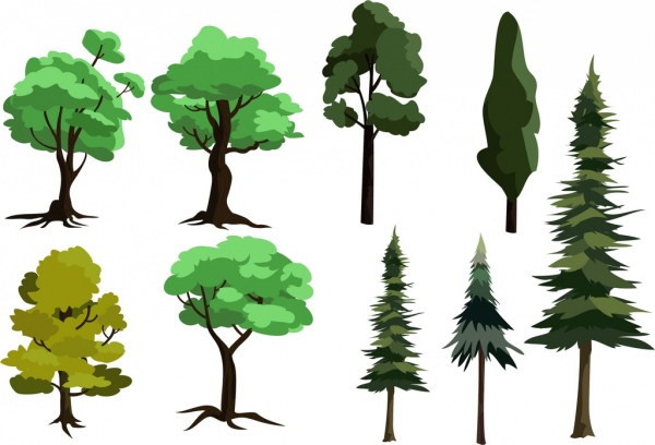 Colección de iconos de diferentes tipos de diseño árbol verde
