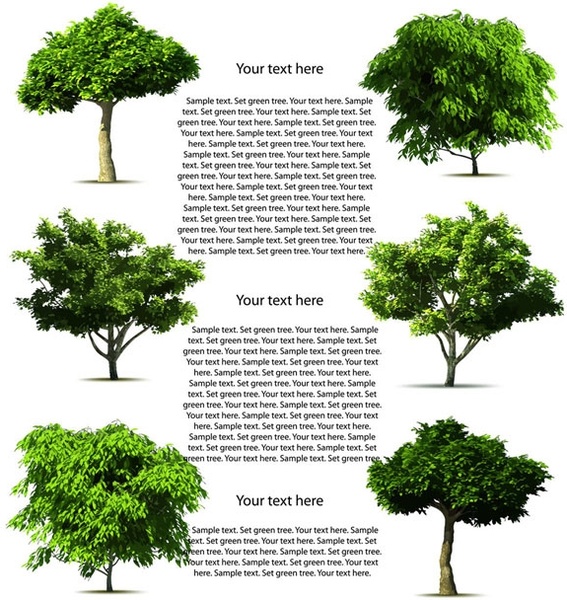 vector de árboles