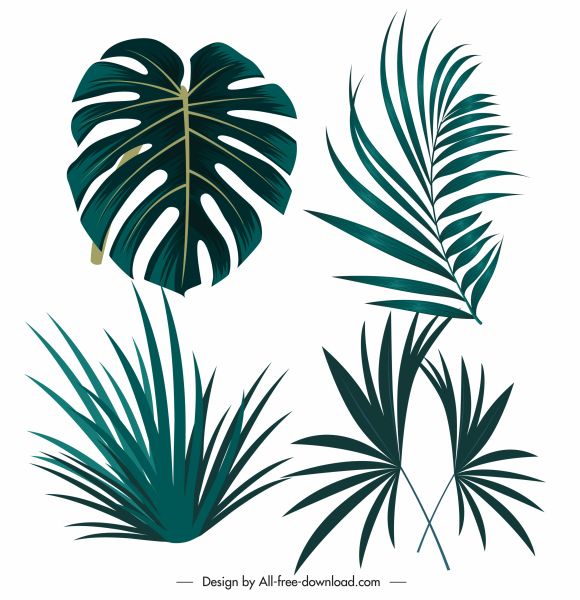 elemen desain tropis sketsa bentuk daun hijau