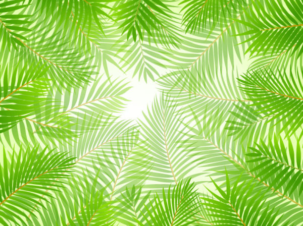 열 대 녹색 잎 요소 벡터 배경