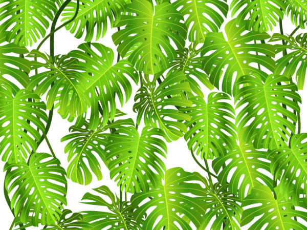 daun hijau tropis elemen vektor latar belakang